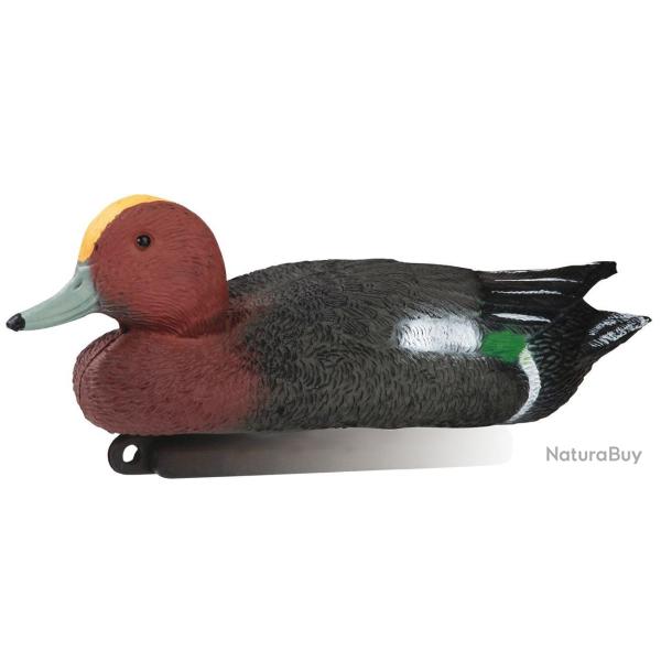 Appelant canard siffleur m�le