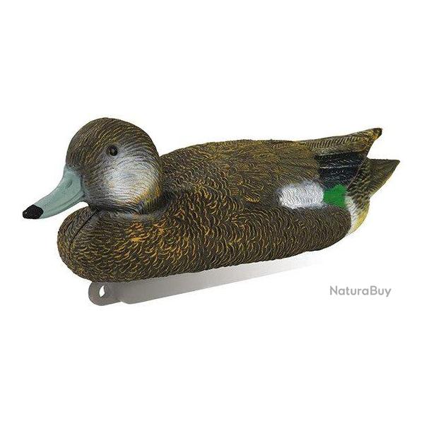 Appelant canard siffleur femelle