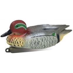 Appelant canard sarcelle d'hiver m&acirc;le