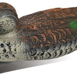 Appelant canard sarcelle d'hiver femelle