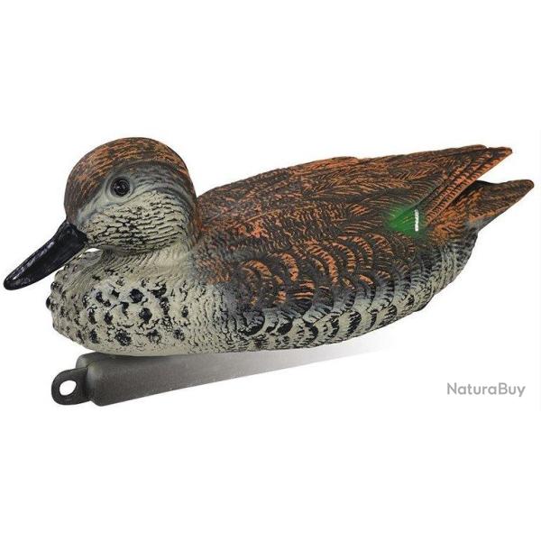 Appelant canard sarcelle d'hiver femelle