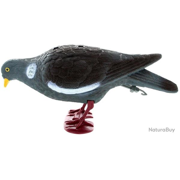 Appelant pigeon avec pattes qui picore