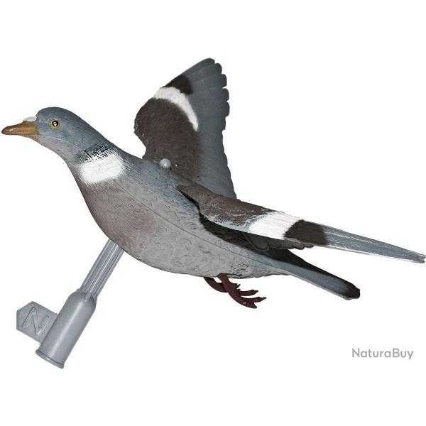 Appelant pigeon  ailes dployes