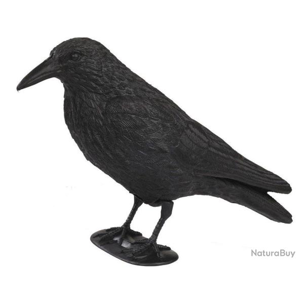 Appelant corbeau avec pattes