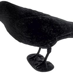 Appelant corbeau floqu&eacute; avec pattes