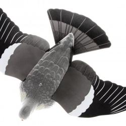 Appelant Pigeon &agrave; ailes d&eacute;ploy&eacute;es EVA