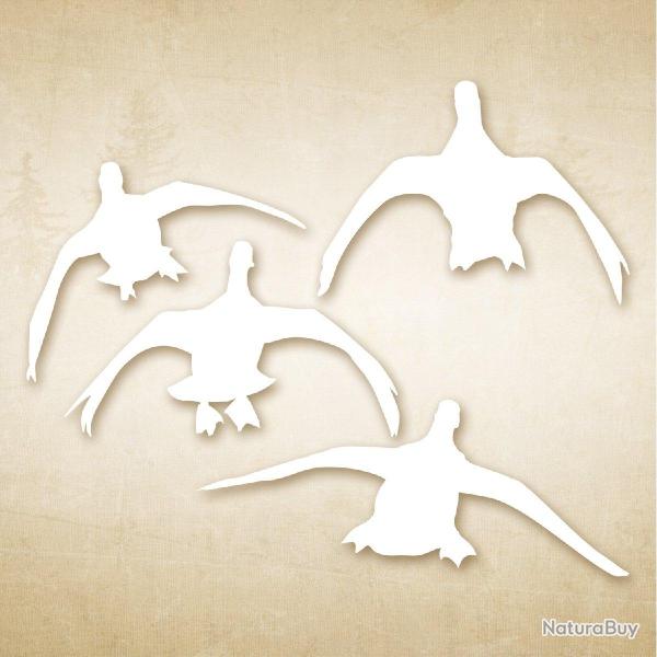 Autocollant chasse Canards � la pose