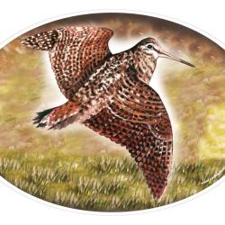 Autocollant b&eacute;casse