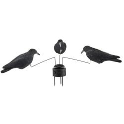 Man&egrave;ge &agrave; corbeaux