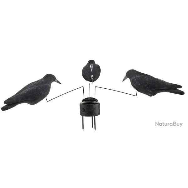 Man�ge � corbeaux