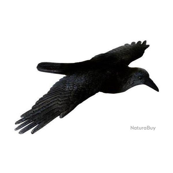 Appelant corbeau � ailes d�ploy�es