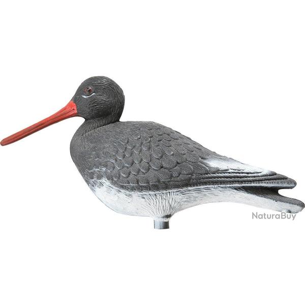 Appelant huitrier pie