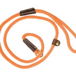 Laisse de dressage orange-170cm