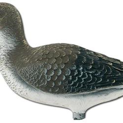 Appelant chevalier combattant