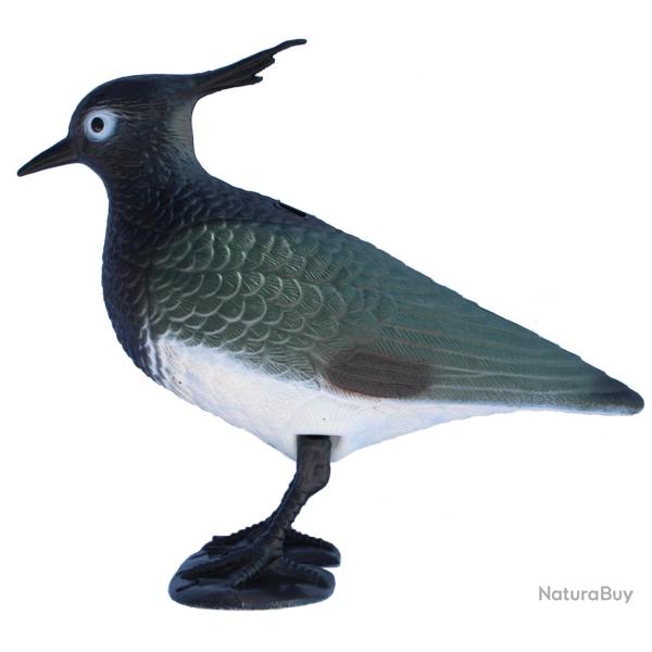 Appelant vanneau hupp  pattes