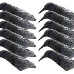Pack 12 appelants corbeaux coquilles