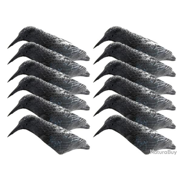 Pack 12 appelants corbeaux coquilles