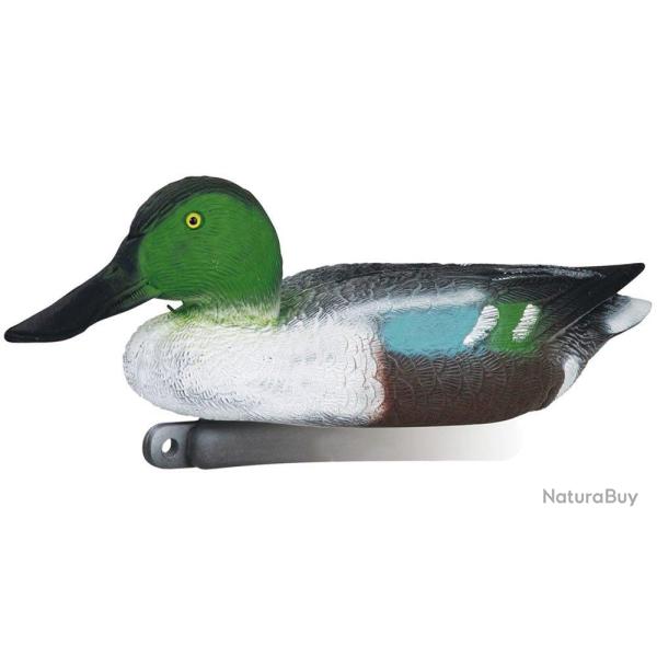 Appelant canard souchet m�le