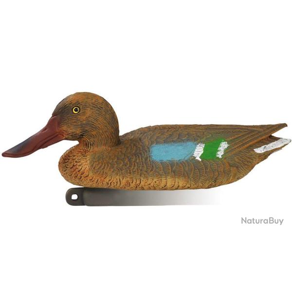 Appelant canard souchet femelle