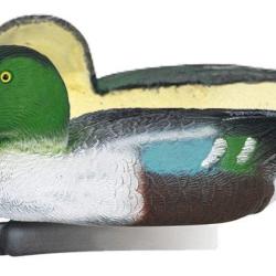 Appelant canard souchet m&acirc;le mouss&eacute;