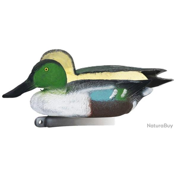 Appelant canard souchet m�le mouss�
