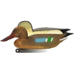 Appelant canard souchet femelle mouss&eacute;