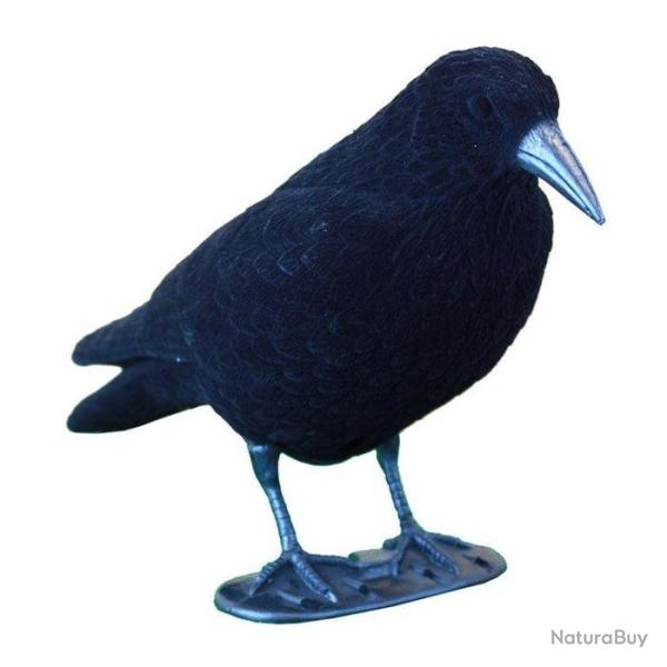 Appelant corbeau Stepland floqu� sur pied Par 1 - Par 1