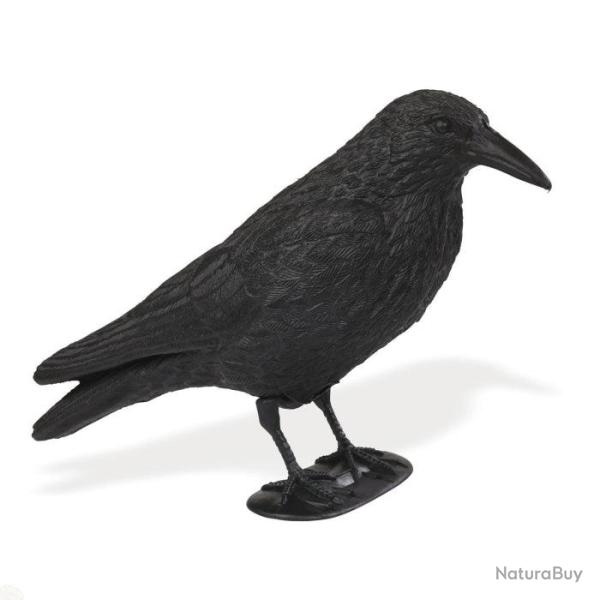 Appelant corbeau sur pied Stepland - Par 1