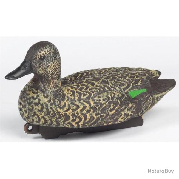 Appelant sarcelle femelle HD Stepland - Par 1