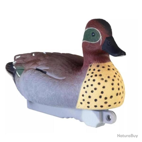 Appelant sarcelle male HD Stepland - Par 1