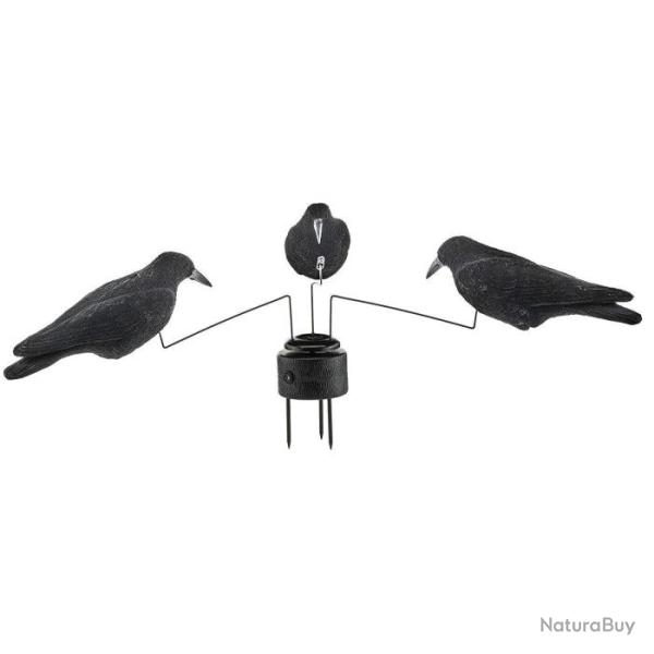 Man�ge 3 corbeaux Stepland