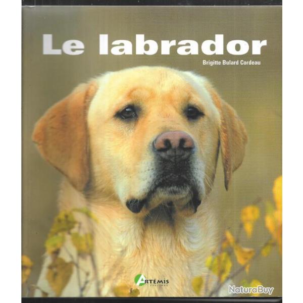 le labrador de brigitte bulard cordeau