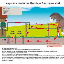 Fermeture d'enclos &agrave; ressort