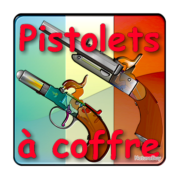 Les pistolets � coffre expliqu�s (� broche et � percussion) - ebook (HLebooks.com)