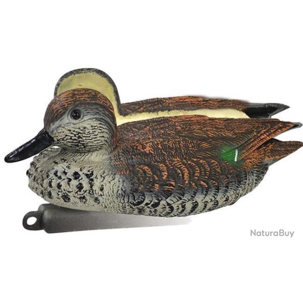 Appelant canard sarcelle femelle mouss�