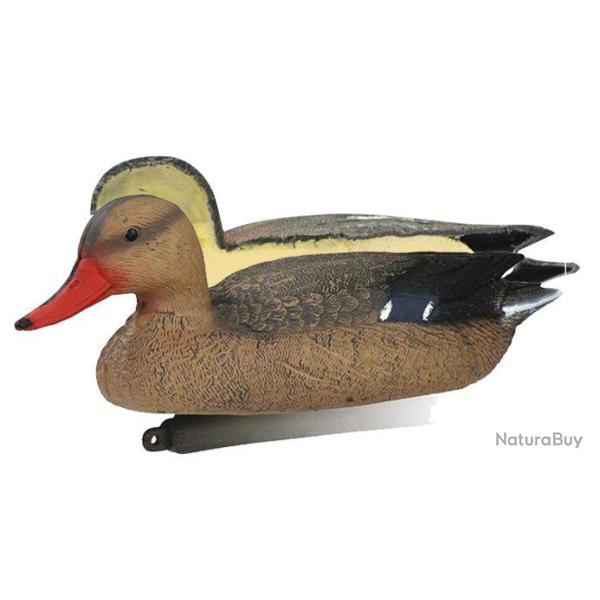 Appelant canard colvert femelle mouss�