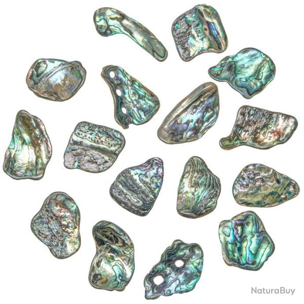 Eclats de nacre abalone paua - 3 � 4 cm - Lot de 5