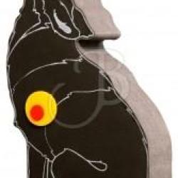 BOOSTER - Cible 2D LOUP HURLANT