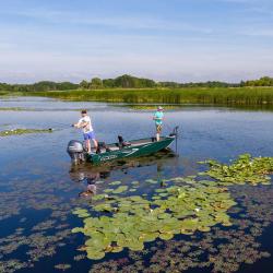 Finval RANGY 510 Tiller