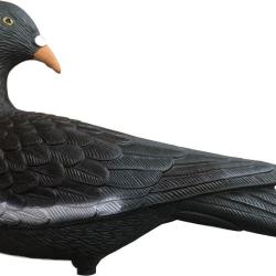 Appelant pigeon ramier classique t&ecirc;te tourn&eacute;e