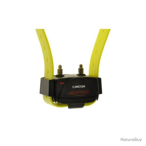 Collier seul Canicom Jaune fluo
