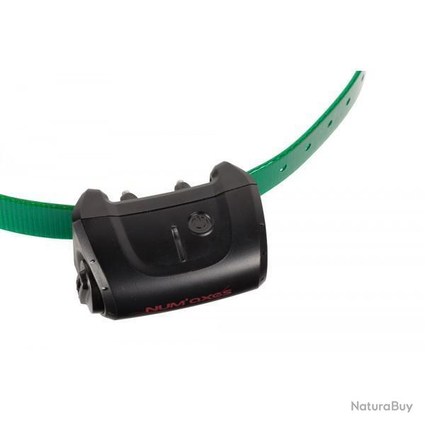 Collier seul Canicom 5 Vert fonc�