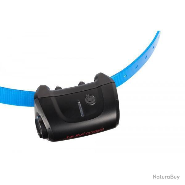 Collier seul Canicom 5 Bleu