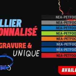 Collier pour chien personnalis&eacute; grav&eacute; solide US 24 mm BLEU