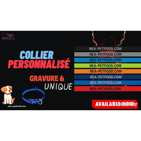 Collier pour chien personnalis� grav� solide US 24 mm ORANGE