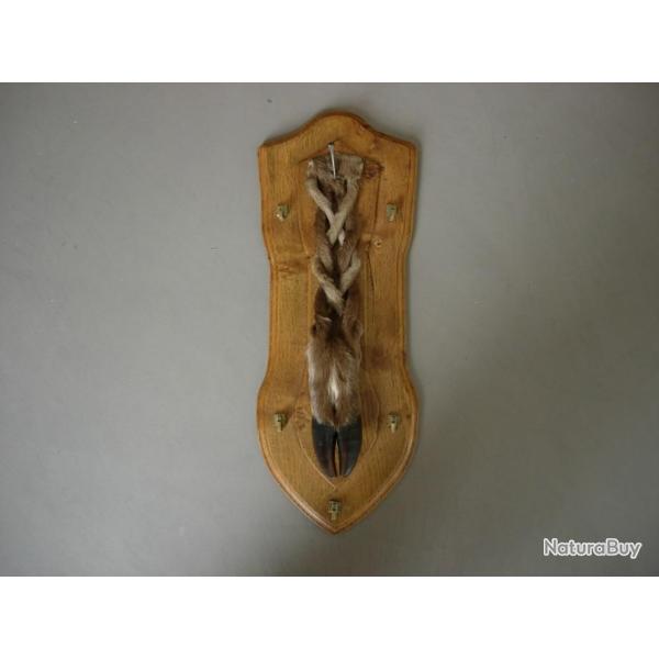 TROPHEE DE CHASSE PIED D'HONNEUR