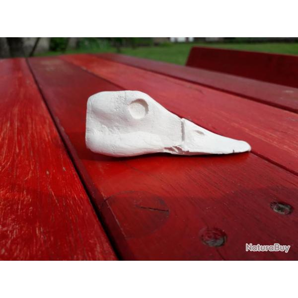 Taxidermie cr�ne de canard en r�sine pour siffleur.  Pour taxidermiste