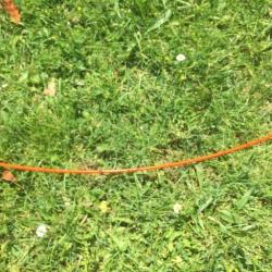 Antenne Collier Huntpower T5 TT15 T10 DC50 DC40 DC30 HP+