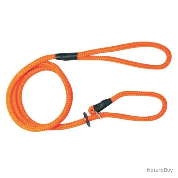 Laisse Lasso Roc Import Orange - Orange