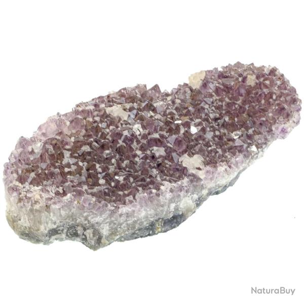 Druse d'am�thyste - 1412 grammes